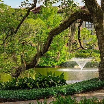 The Grand Hotel - An Autograph Collection Resort Hotel by Marriott